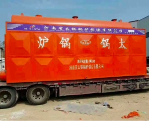 DZH臥式生（shēng）物質蒸汽鍋爐
